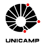 4-unicmap